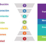 7 niveles de Consciencia Organizacional según Richard Barrett