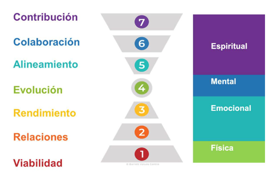 7 niveles de Consciencia Organizacional según Richard Barrett